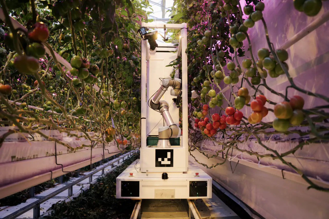 An early prototype of Harvester in a greenhouse